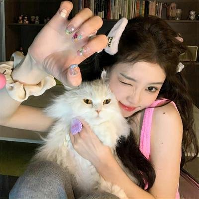 破产姐妹第六季